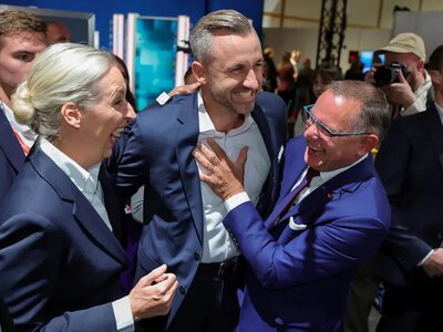 Немцы считают АдН более опасной для демократии, чем Левых, - Bild