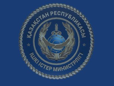 МВД: 45 уголовных дел в отношении участников ОПГ направлены в суд