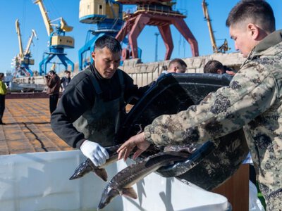 На Зайсане хотят выращивать до 6 млн мальков в год и перерабатывать рыбу на месте 