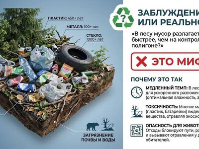 Миф или правда? Разлагается ли мусор в лесу быстрее?
