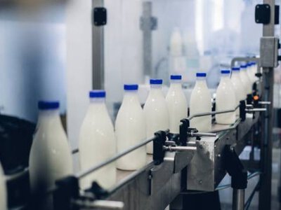  Экспорт молока демонстрирует рост 