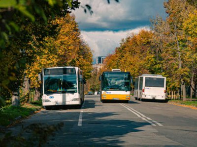 Новый маршрут в сутки: автобусы Киева изменят направления движения