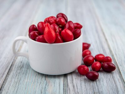 Рубини осеннего леса: что приготовить из брусники и клюквы