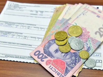 В каких случаях ФЛП получит субсидию: какой доход зачислит Пенсионный фонд при расчете