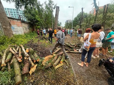 Теплотраса или застройка: активисты заявили о возможных коррупционных интересах вокруг леса на Теремках