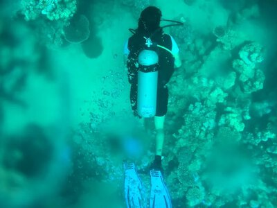 Давній розсольний басейн у Червоному морі зберіг мікробів, які могли жити без кисню