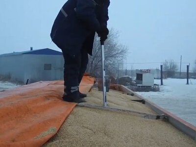  Зерно на 11,2 млрд тенге вывезли из Казахстана по фиктивным договорам 