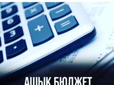 АНОНС Бюджет