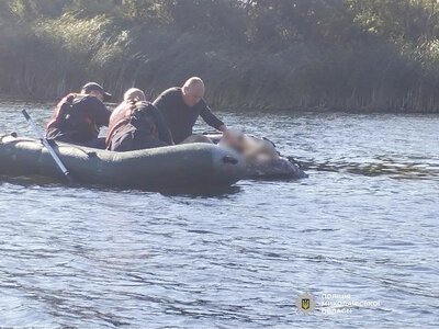 В Николаевской области нашли тело пропавшего 11-летнего мальчика: открыто дело по статье об убийстве