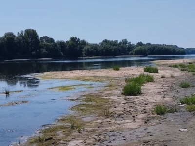 Днестр критически обмелел: Молдова объявила красный код и запретила забор воды для полива