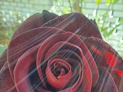 Синоптики рассказали, какой будет погода в Николаеве и области 30 сентября
