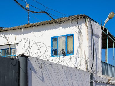  Серийные скотокрады орудовали в области Абай 