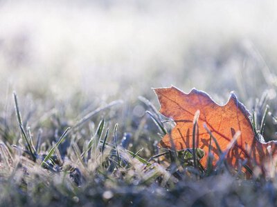 Первые заморозки и ни капли дождя: какую погоду принесет сухой антициклон
