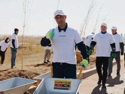 Сарань становится зеленее: промышленные предприятия высадили более 300 деревьев