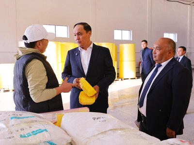 Производство упаковки для продуктов мощностью 70 млн в год запускают в Жамбылской области