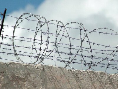 ІІМ: Амнистия аясында 2,6 мыңнан астам адамға қатысты шешім қабылданды