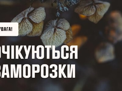 Украинцев ожидает похолодание в первые дни октября: заморозки на почве и желтый уровень опасности