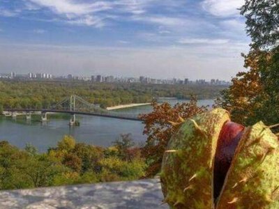 В первый день октября в Украине прогнозируются заморозки, но днём температура воздуха поднимется до +22°