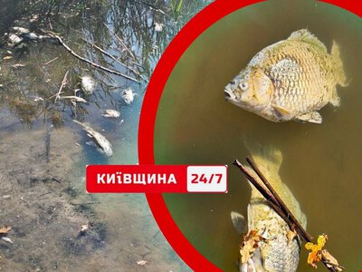 Массовый мор рыбы и сильная вонь в Коцюбинском: введен строгий запрет
