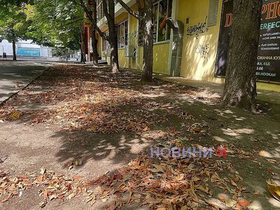 Каким будет октябрь в Николаевской области: климатологи назвали норму температуры и осадков