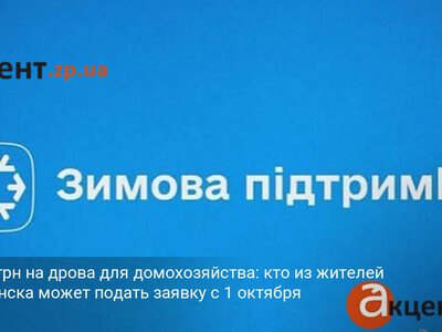 19 400 грн на дрова для домохозяйства: кто из жителей Вильнянска может подать заявку с 1 октября