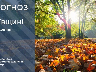 Погода на Киевщине 2 октября: ждать ли дождя и какой будет температура