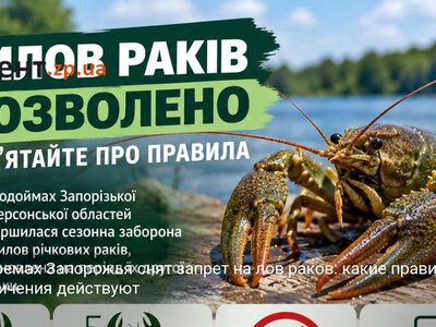 На водоемах Запорожья снят запрет на лов раков: какие правила и ограничения действуют