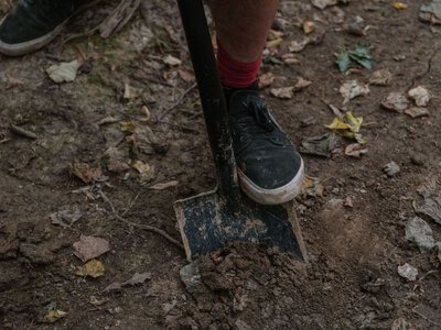 Нужно ли перекапывать огород на зиму: дачникам дали неожиданный ответ