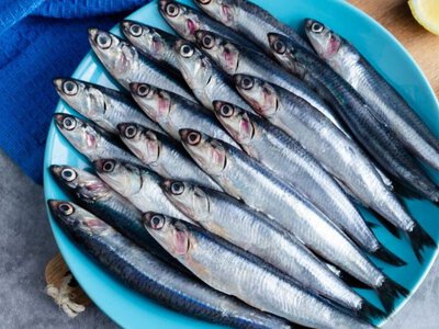 Стоит копейки, а вкуснее лосося: недооцененная морская рыба, которую часто пропускают мимо