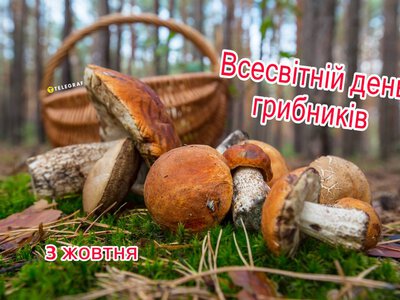 3 жовтня – Всесвітній день грибників