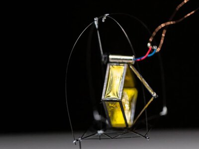 Однограммовый робот научился прыгать по лестнице без пружин
