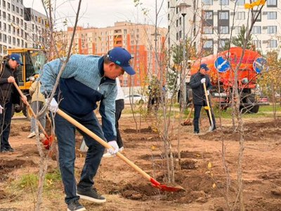  Более 640 деревьев высадили в парке Коктал в Астане 