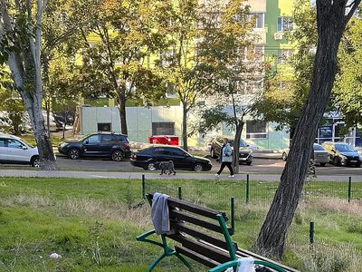 Сломанный забор и заросшая территория: в Николаеве пожаловались на состояние детской площадки