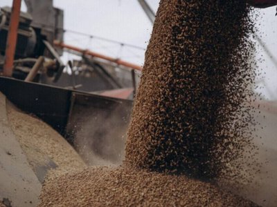  Польша и Румыния отказались увеличивать транзит украинского зерна 