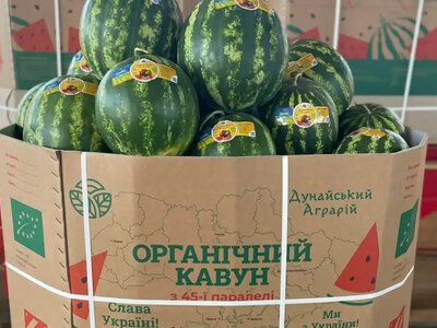 Уроки выживания от «Дунайского агрария»: как спасти продукцию и логистику под обстрелами