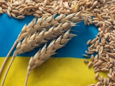 Румыния и Польша отказываются расширять возможности для экспорта украинского зерна