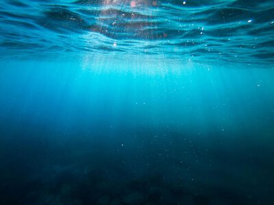 Подводная река в Черном море – уникальный феномен: у нее есть русло, берега и даже водопад