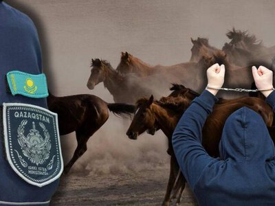 Двух подозреваемых в краже шести лошадей задержали в ЗКО