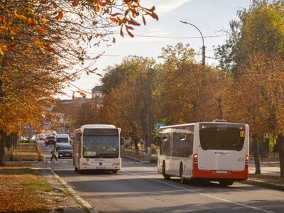 Без ограничений и пробок: автобусы Киева сменили маршруты