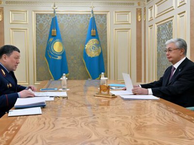 Глава государства принял министра внутренних дел Ержана Саденова