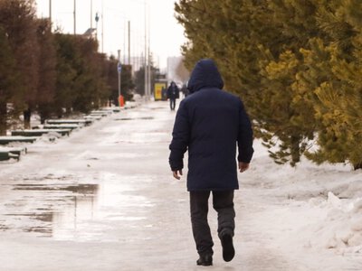  Мокрый снег и метели придут в регионы Казахстана 