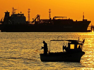 Индия предложила Украине и РФ план по перемирию в Черном море и энергетике