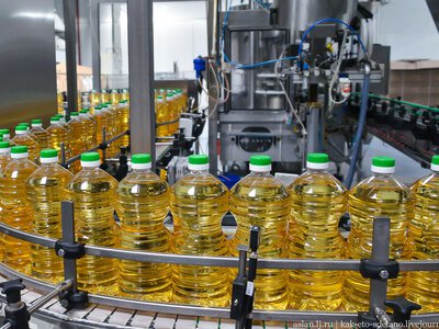 Мировой рынок растительных масел: пальмовое масло дорожает, а подсолнечное — дешевеет