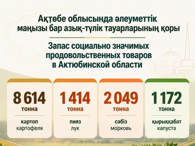 В Актюбинской области формируется запас социально значимых продовольственных товаров