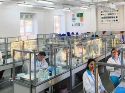Власти отрицают опасность, но запирают больницы. Смерть сотрудницы противочумного института в России