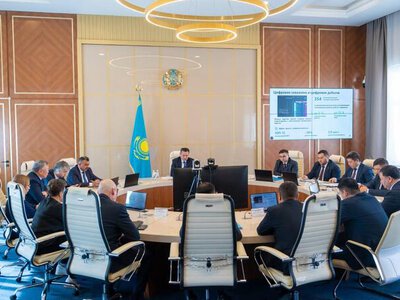 Цифровые технологии в ВКО: медицина, АПК, образование, экология, сфера ЧС