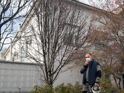 Чума в России: Трамп пообещал помочь Путину — насколько все серьезно