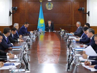 Олжас Бектенов поручил МСХ определить меры господдержки аграриев для приоритетного перевода на проактивный формат