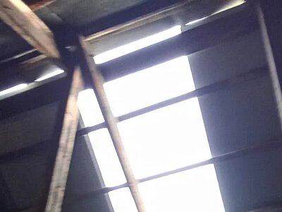Жительница Николаева пожаловалась на поврежденную крышу дома: заявка остается без реакции