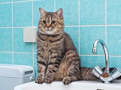 В Николаеве поселок остался без воды